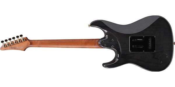 Ibanez ( アイバニーズ ) / AZ2204AG-TGB画像2