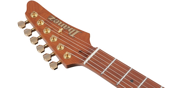 Ibanez ( アイバニーズ ) / AZ2204AG-TGB画像5