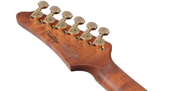 Ibanez ( アイバニーズ ) / AZ2204AG-TGB画像6