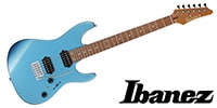Ibanez / AZ24S2-MLB