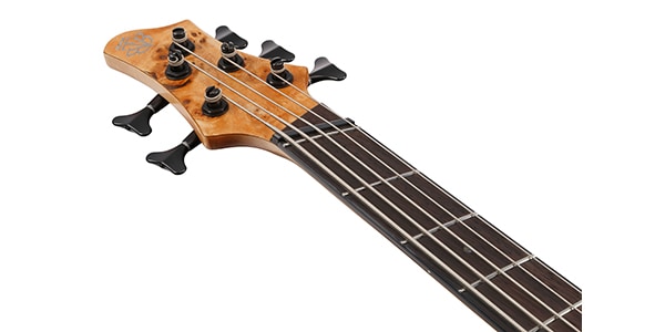 Ibanez ( アイバニーズ ) / BTB805MS-FNL画像6