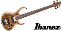 IBANEZ/Ibanez ( アイバニーズ )