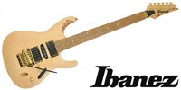 IBANEZ EGEN8-PLB