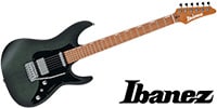 IBANEZ EH10-TGM