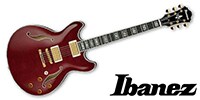 IBANEZ EKM100-WRD　エリック・クラズノモデル