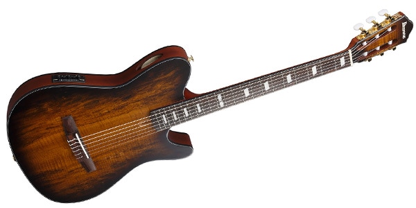 Ibanez ( アイバニーズ )  / FRH20SMN-TCL画像3