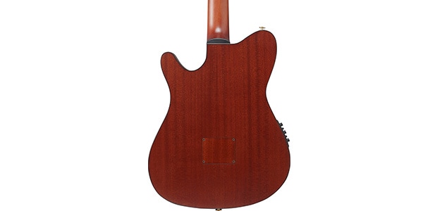 Ibanez ( アイバニーズ )  / FRH20SMN-TCL画像5