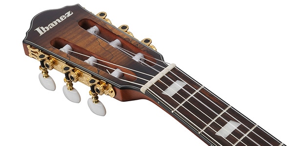 Ibanez ( アイバニーズ )  / FRH20SMN-TCL画像6