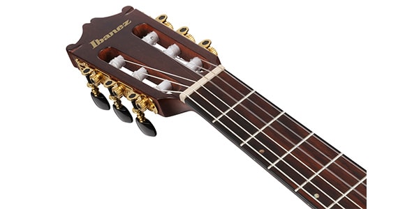 Ibanez ( アイバニーズ ) / GA35TCE-SRR画像4