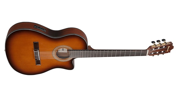 Ibanez ( アイバニーズ ) / GA35TCE-VLS画像3