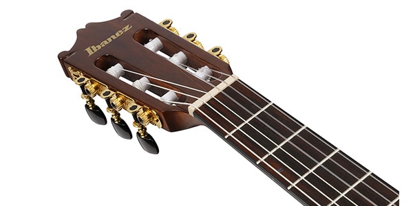 Ibanez ( アイバニーズ ) / GA35TCE-VLS画像4