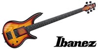 IBANEZ GWB20TH-TQF