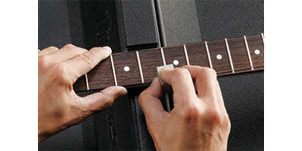 Ibanez ( アイバニーズ )  / IFC1000 画像2