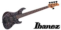 Ibanez / MDM1605-DTW