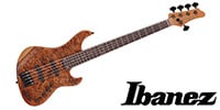 Ibanez / MDM1605-NML