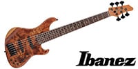 Ibanez / MDM1606-NML