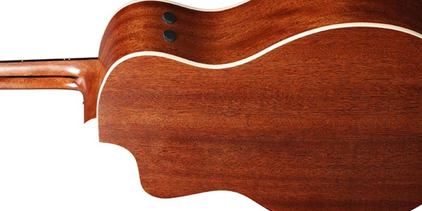 Ibanez / PA230E-NSL画像2