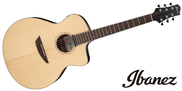 Ibanez ( アイバニーズ )  / PA300E-NSL