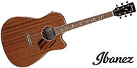 Ibanez / PF33MHCE-NMH