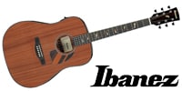Ibanez / PF34MHE-NT