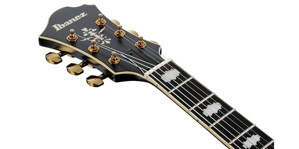 Ibanez ( アイバニーズ )  / PM3C-BKL　Pat Metheny　フルアコースティックギター　Black画像5