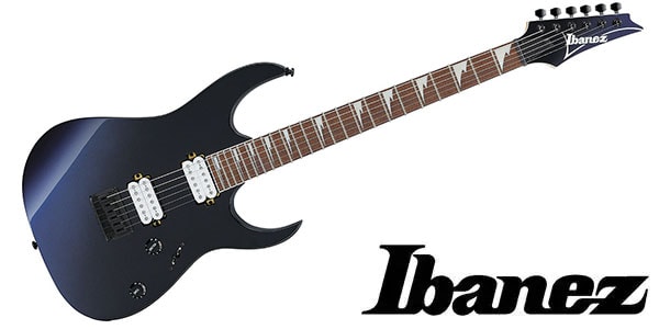 Ibanez ( アイバニーズ )  / RG421DX-TWS