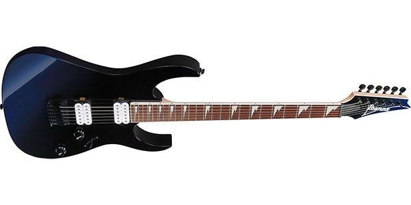 Ibanez ( アイバニーズ )  / RG421DX-TWS画像3