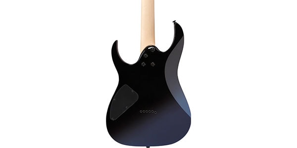 Ibanez ( アイバニーズ )  / RG421DX-TWS画像4