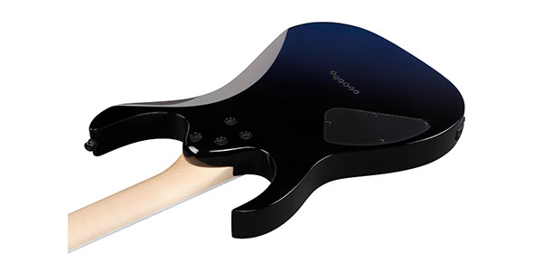 Ibanez ( アイバニーズ )  / RG421DX-TWS画像5