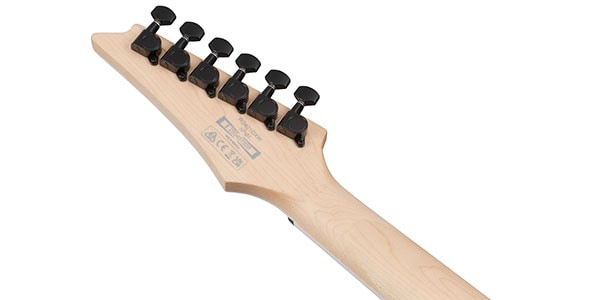 Ibanez ( アイバニーズ )  / RG421DX-TWS画像6
