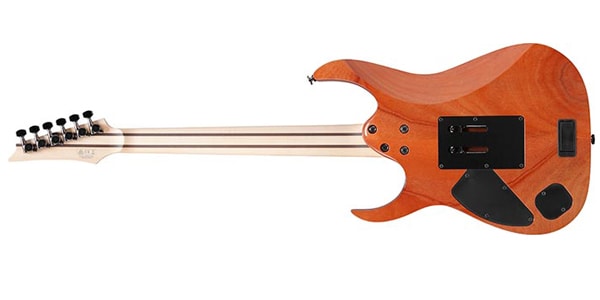Ibanez ( アイバニーズ )  / RG5120M-PRT画像5