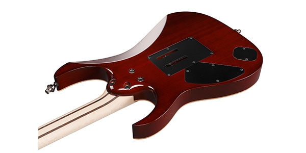 Ibanez / RG8570-BSR画像4