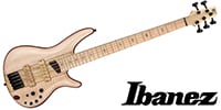 IBANEZ SR5FMDX2-NTL