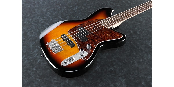 Ibanez / TMB100TFB画像2