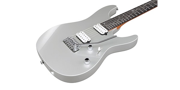 Ibanez / TOD10画像6