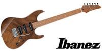 IBANEZ TQM1 Natural