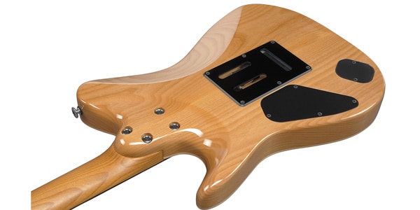 Ibanez / TQMS1-CTB Tom Quill model画像5