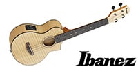 Ibanez / UEW12E-OPN