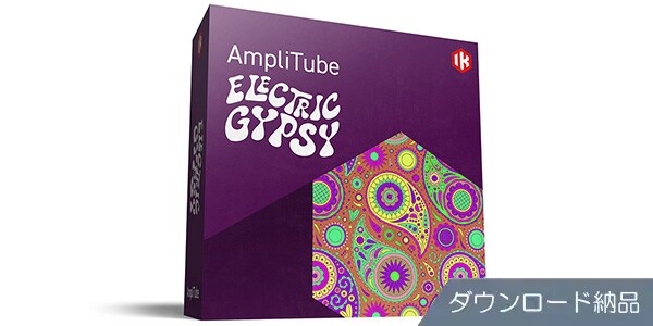 IK MULTIMEDIA ( アイケーマルチメディア )  / AmpliTube Electric Gypsy
