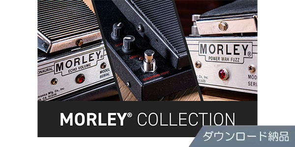 IK MULTIMEDIA ( アイケーマルチメディア )  / AmpliTube Morley Collection ダウンロード納品
