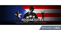 IK MULTIMEDIA / Hitmaker: Reggaeton ダウンロード納品