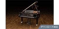 IK MULTIMEDIA / Pianoverse Hamburg Grand S274 ダウンロード納品