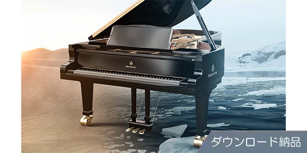IK MULTIMEDIA ( アイケーマルチメディア )  / Pianoverse Max ダウンロード納品