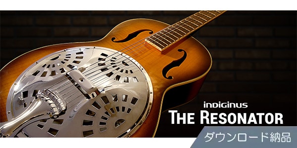 IK MULTIMEDIA / The Resonator download delivery
