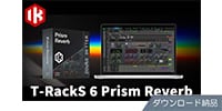 IK MULTIMEDIA / T-RackS 6 Prism Reverb ダウンロード納品