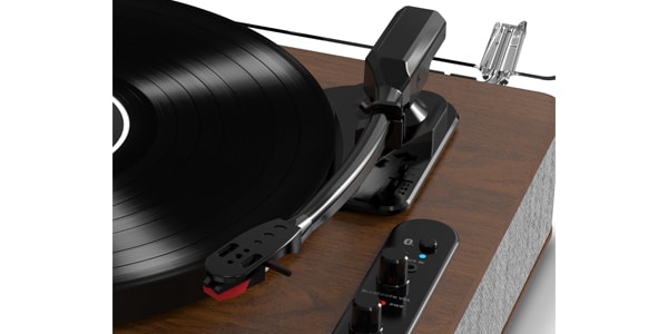 ION AUDIO / Luxe LP画像2