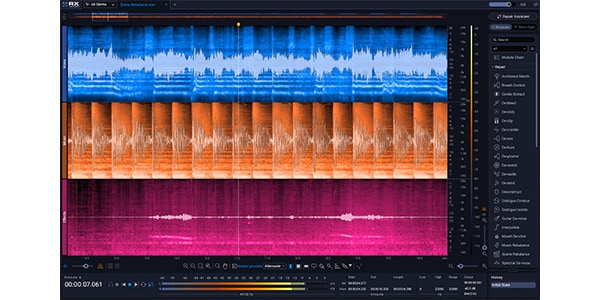 iZotope ( アイゾトープ )  / RX 12 Advanced: UPG from RX Elements or Elements Suite PKG画像5