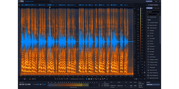 iZotope ( アイゾトープ )  / RX 12 Advanced: UPD from RX 10 Advanced PKG画像2