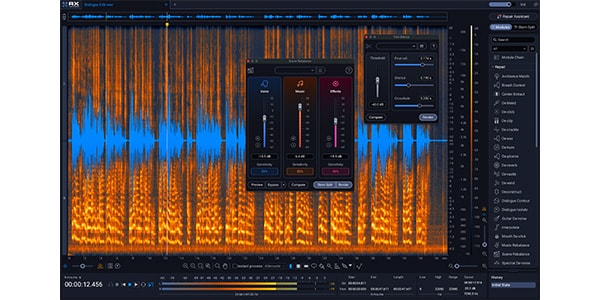 iZotope ( アイゾトープ )  / RX 12 Advanced: UPD from RX 11 Advanced PKG画像3