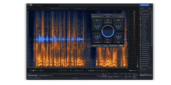 iZotope / RX 10 Advanced [Upgrade version] From each RX Standard画像2